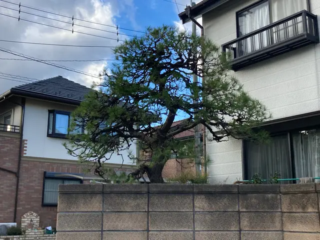 ベテラン職人在籍◎仕上がり保証付！サービスの画像