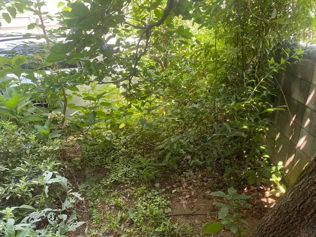 芝刈り機での草刈りです！どんな規模でも他社より1円でも高い場合は値下げいたしますサービスの画像