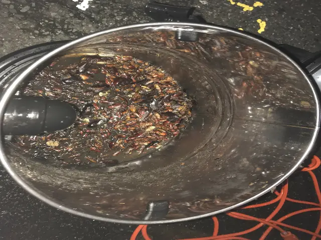 ＜誠実な対応＞経験豊富なスタッフによる安全、安！害虫・害獣お任せくださいサービスの画像