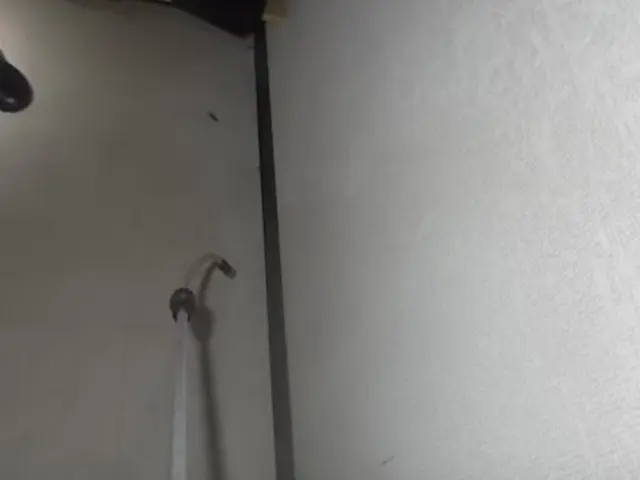 ＜誠実な対応＞経験豊富なスタッフによる安全、安！害虫・害獣お任せくださいサービスの画像