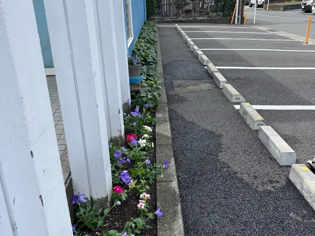 プロの技術でご満足いただけるように心を込めて作業いたします！女性スタッフ同行可サービスの画像