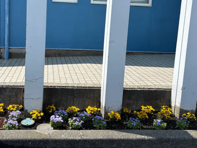 プロの技術でご満足いただけるように心を込めて作業いたします！女性スタッフ同行可サービスの画像