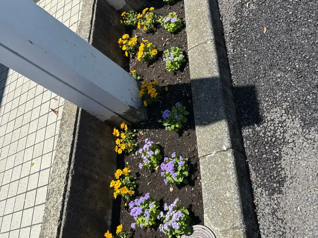 プロの技術でご満足いただけるように心を込めて作業いたします！女性スタッフ同行可サービスの画像
