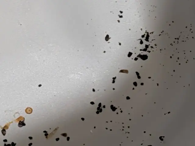 24H/最短当日施工可能！千葉埼玉東京神奈川対応！侵入口徹底閉鎖！業務用薬剤込みサービスの画像