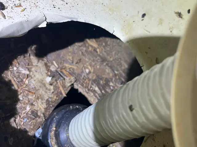 24H/最短当日施工可能！千葉埼玉東京神奈川対応！侵入口徹底閉鎖！業務用薬剤込みサービスの画像