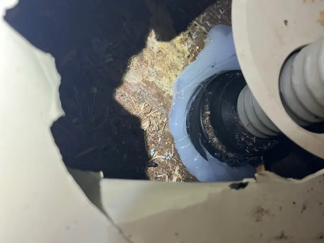 24H/最短当日施工可能！千葉埼玉東京神奈川対応！侵入口徹底閉鎖！業務用薬剤込みサービスの画像