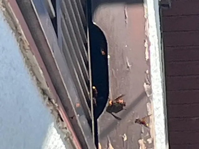 【新規出店キャンペーン】最短当日対応！4名体制で大型案件◉家屋一貫ケア可能！！サービスの画像