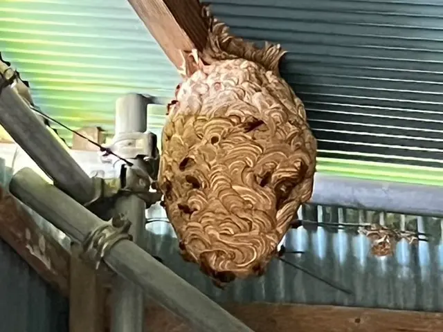 【新規出店キャンペーン】最短当日対応！4名体制で大型案件◉家屋一貫ケア可能！！サービスの画像