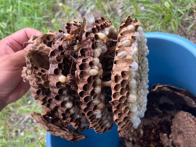 【新規出店キャンペーン】最短当日対応！4名体制で大型案件◉家屋一貫ケア可能！！サービスの画像