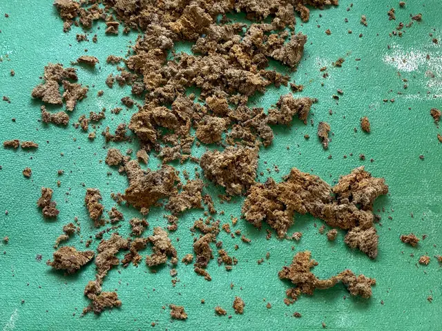 ★一生懸命頑張ります★オープニング限定価格★大手清掃会社勤務経験有り★サービスの画像