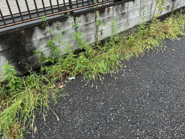 行政施設や企業敷地内の除草、剪定実績多数あり！サービスの画像