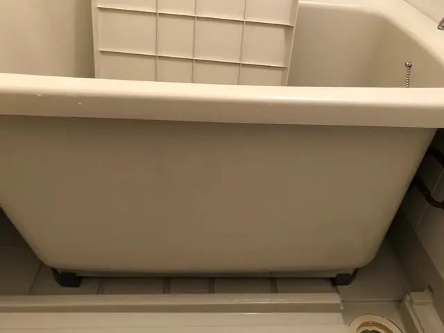 退房后的房间真的很脏吧！我来把它打扫干净（退去後の部屋は汚いので僕が掃除します）サービスの画像