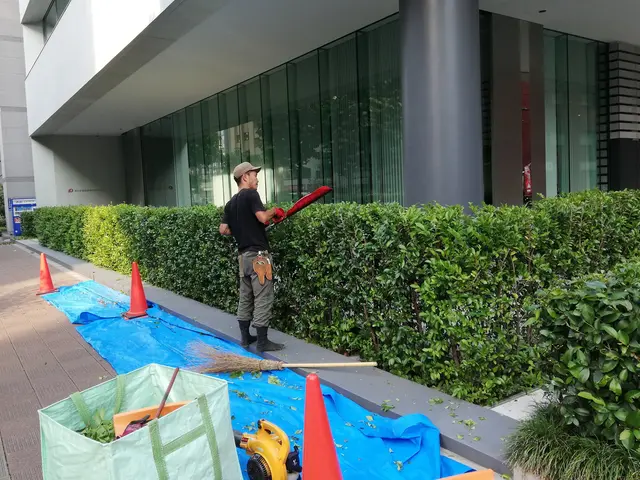 【植込みの剪定】もっさり茂った植込みもスッキリと刈込みます！◇神奈川近郊◇安心サービスの画像