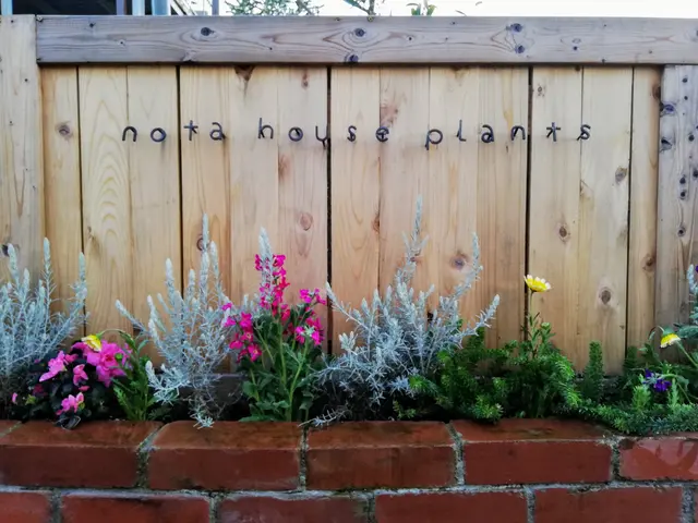 【植込みの剪定】もっさり茂った植込みもスッキリと刈込みます！◇神奈川近郊◇安心サービスの画像