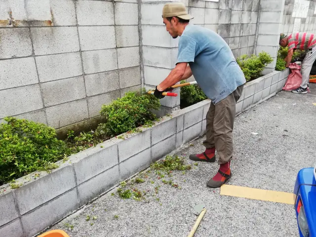 【植込みの剪定】もっさり茂った植込みもスッキリと刈込みます！◇神奈川近郊◇安心サービスの画像
