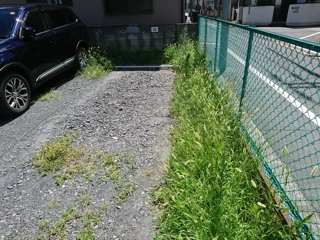 《安心追加料金一切なし》《草むしり、除草剤》お庭、駐車場を綺麗にします サービスの画像