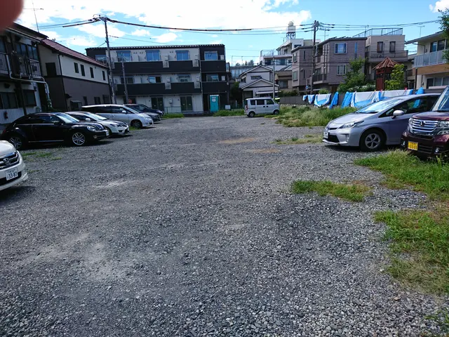 《安心追加料金一切なし》《草むしり、除草剤》お庭、駐車場を綺麗にします サービスの画像