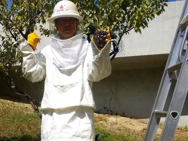 《年末年始も営業中》業歴30年駆除経験と専門知識豊富なスタッフが丁寧にご対応！サービスの画像