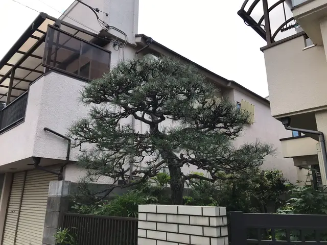 顧客満足度100％を目指します！お気軽に杉並（有）いきいき公社へご相談ください。サービスの画像