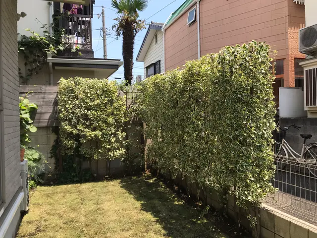 顧客満足度100％を目指します！お気軽に杉並（有）いきいき公社へご相談ください。サービスの画像