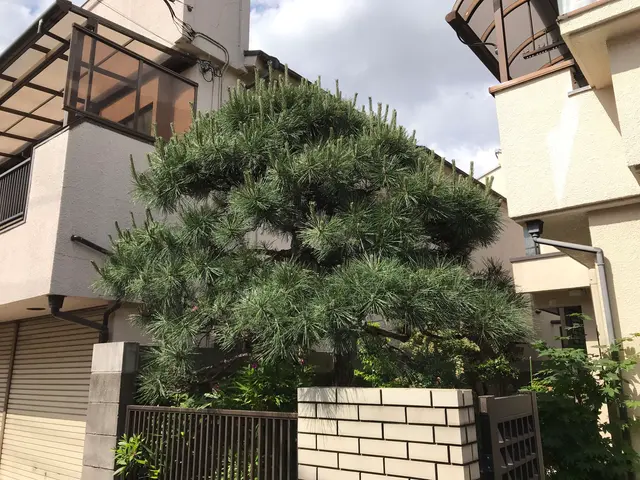 顧客満足度100％を目指します！お気軽に杉並（有）いきいき公社へご相談ください。サービスの画像