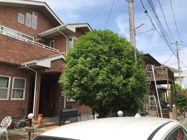 顧客満足度100％を目指します！お気軽に杉並（有）いきいき公社へご相談ください。サービスの画像