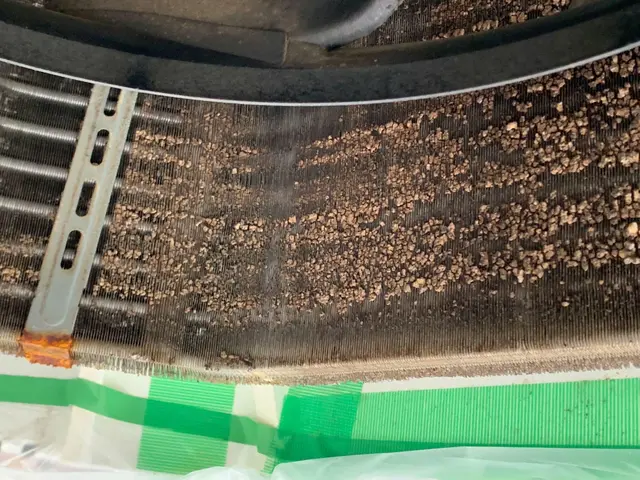 業務用エアコンクリーニング☆漂白剤ベース洗剤で徐カビ※抗菌→防カビも承りますよ☆サービスの画像