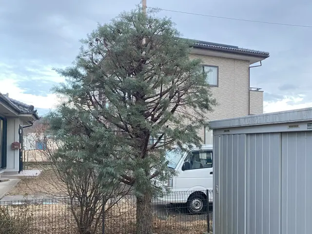 ◆作業実績1000件超！◆予約から施工まで100%自社◆仕上がり保証あり！サービスの画像