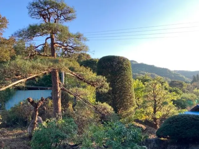 ◆作業実績1000件超！◆予約から施工まで100%自社◆仕上がり保証あり！サービスの画像