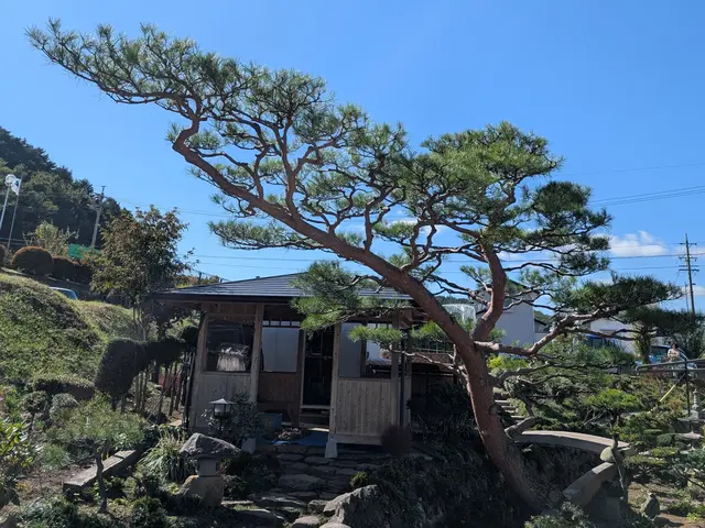 ◆作業実績1000件超！◆予約から施工まで100%自社◆仕上がり保証あり！サービスの画像