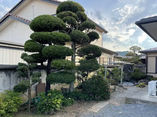 ◆作業実績1000件超！◆予約から施工まで100%自社◆仕上がり保証あり！サービスの画像