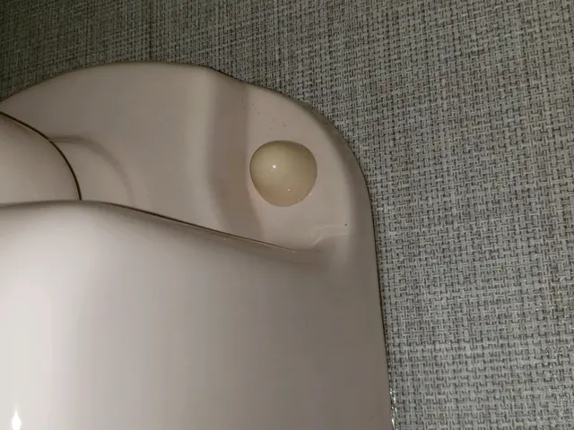 《ハウスクリーニング士が伺います！》プロのお掃除で快適な暮らしをお届けします◎サービスの画像