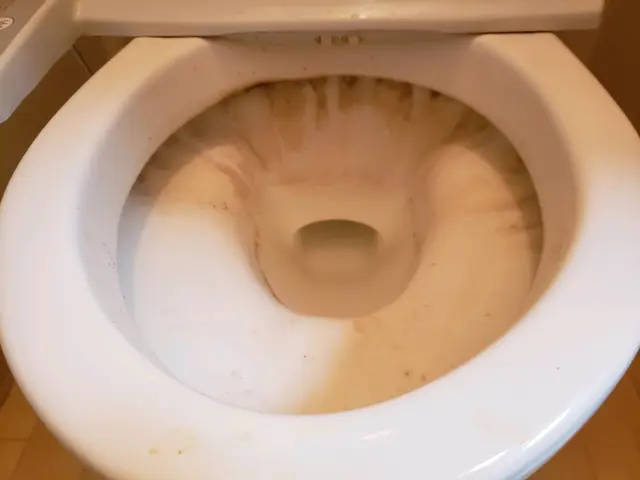 《ハウスクリーニング士が伺います！》プロのお掃除で快適な暮らしをお届けします◎サービスの画像