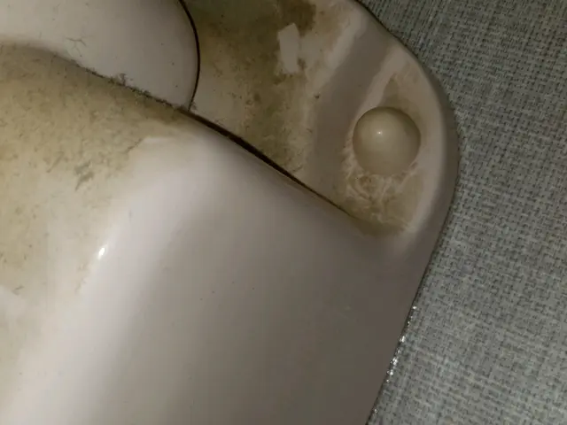 《ハウスクリーニング士が伺います！》プロのお掃除で快適な暮らしをお届けします◎サービスの画像