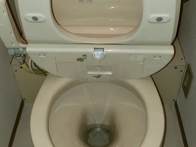 《ハウスクリーニング士が伺います！》プロのお掃除で快適な暮らしをお届けします◎サービスの画像