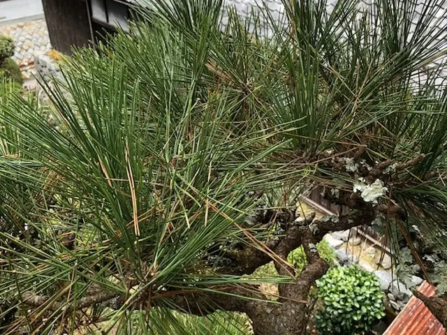 【職人歴13年の経験と実績】駐車代お店負担！営業時間外も対応します！サービスの画像