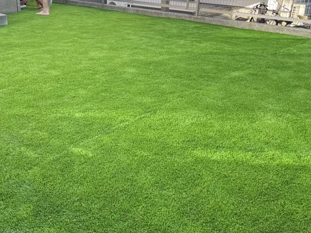人工芝施工サービスの画像