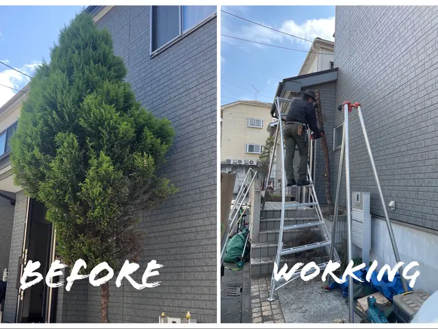 【金賞受賞 4 回】静かで安心の伐採・抜根。庭の悩みを快適空間に変えるお手伝いサービスの画像