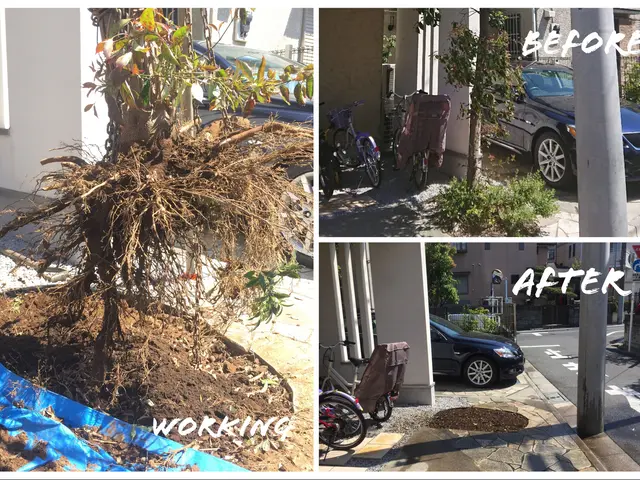 【金賞受賞 4 回】静かで安心の伐採・抜根。庭の悩みを快適空間に変えるお手伝いサービスの画像