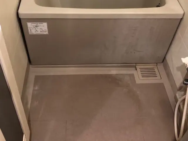 【水垢・石鹸カス・皮脂汚れ・カビを一掃！】◎除菌効果　キングサイズは19千円〜サービスの画像