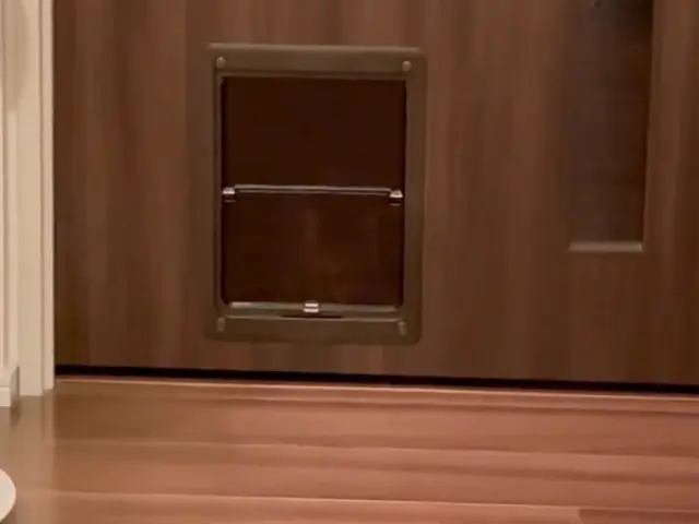 【安心低価格】ペットドアの取り付けはプロにお任せください！サービスの画像