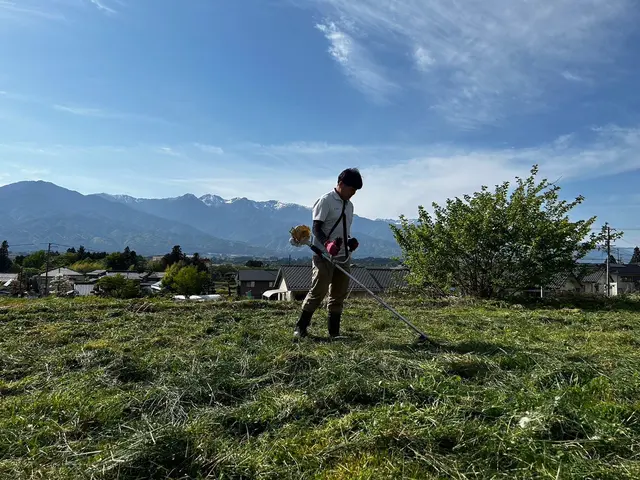 平日も問い合わせ可能☆草刈り☆夫婦で対応☆クレカ対応◎損害保険加入済みサービスの画像