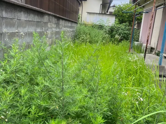 平日も問い合わせ可能☆草刈り☆夫婦で対応☆クレカ対応◎損害保険加入済みサービスの画像