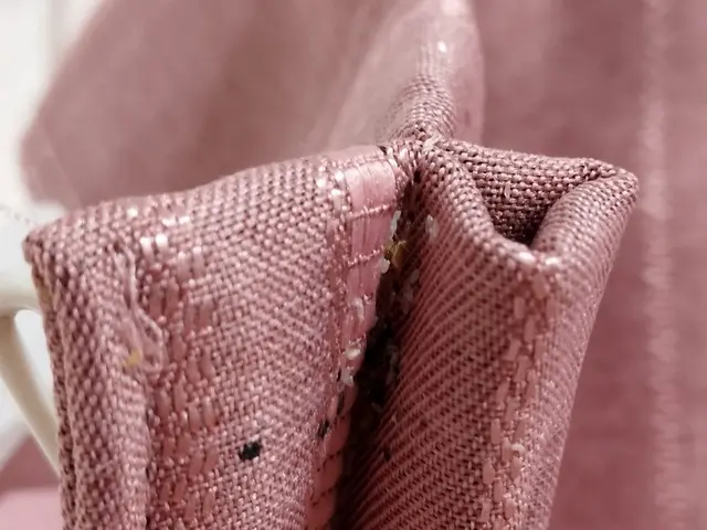 トコジラミを知り尽くしたのプロ集団にお任せください。サービスの画像