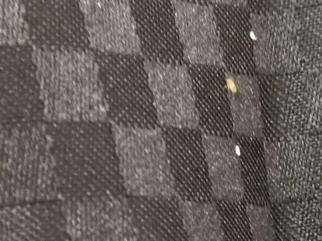 トコジラミを知り尽くしたプロ集団にお任せください。サービスの画像