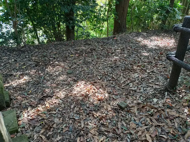 ◎落葉にお悩みではございませんか？お庭、斜面、山中のお墓等も作業致します！サービスの画像