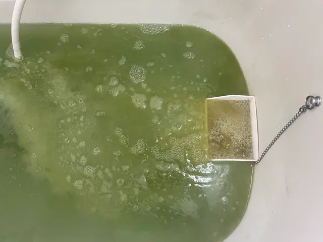 【専用洗剤とマイクロバブルで追い焚き配管洗浄】サービスの画像