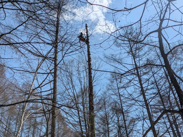 【長野県特化！】難しい狭小地のご相談も是非をお待ちしておりますサービスの画像