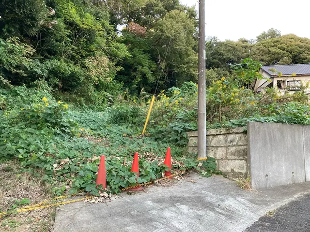 どんな草でもお坊さんにお任せください！サービスの画像