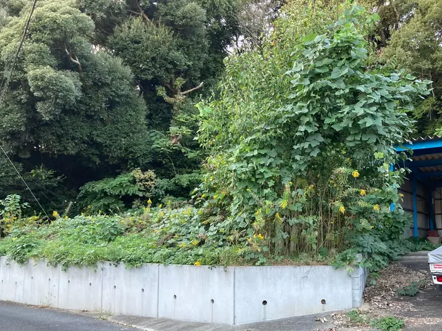 どんな草でもお坊さんにお任せください！サービスの画像